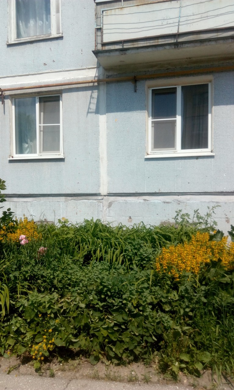 обл. Рязанская, г. Рязань, ул. Забайкальская, д. 22-фасад здания