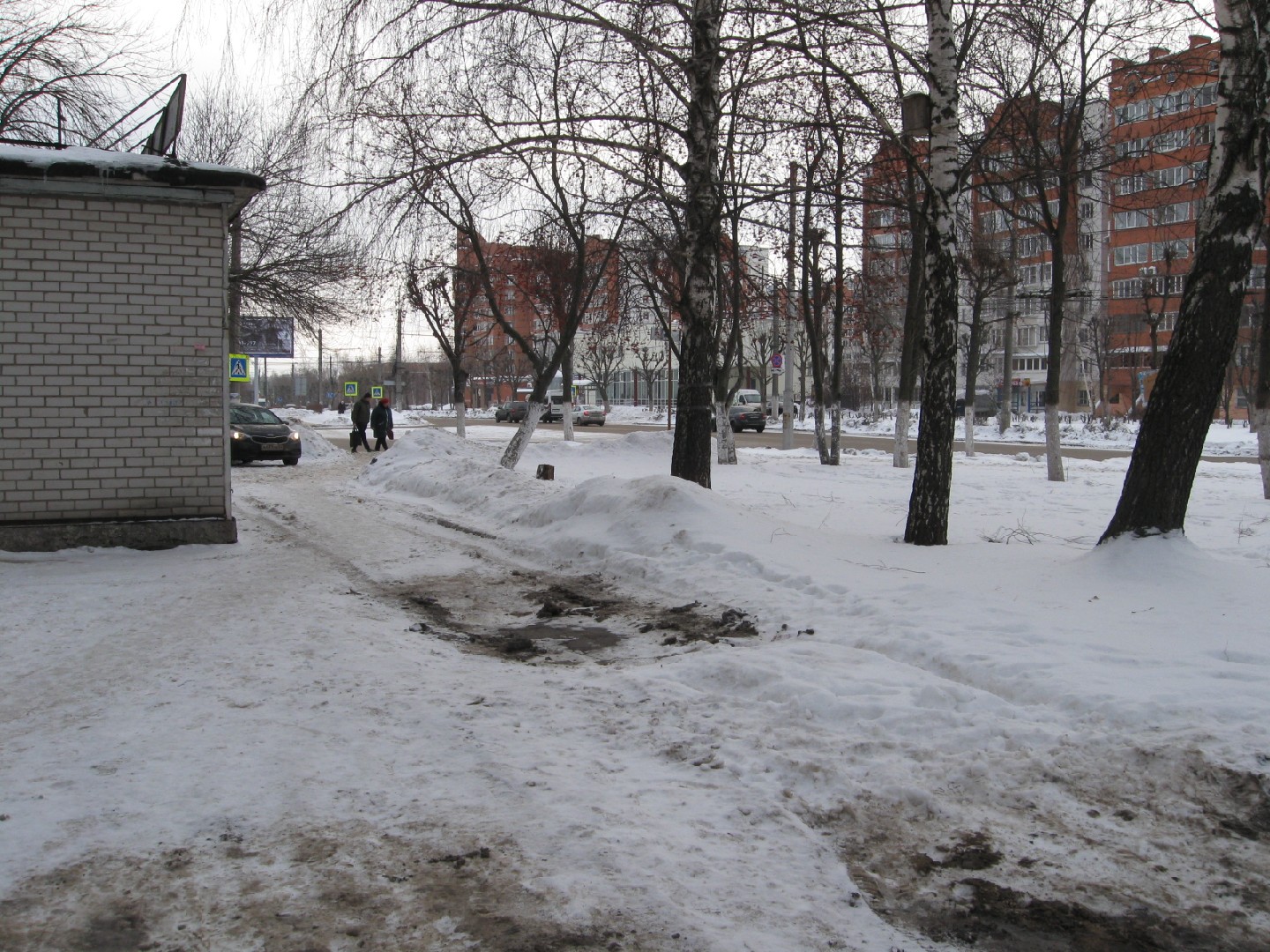 обл. Рязанская, г. Рязань, ул. Крупской, д. 15/18-придомовая территория