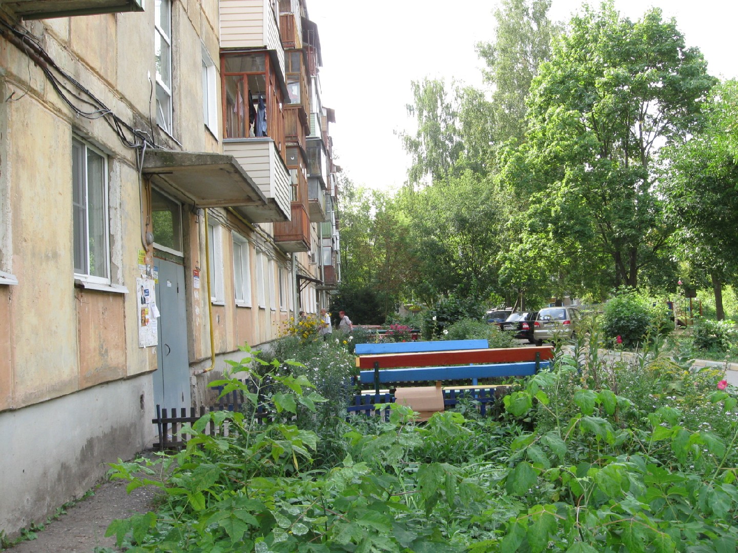 обл. Рязанская, г. Рязань, ул. Энгельса, д. 6-придомовая территория