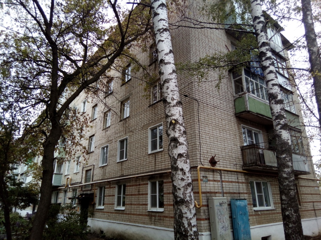 обл. Рязанская, г. Скопин, ул. К.Маркса, д. 162-фасад здания
