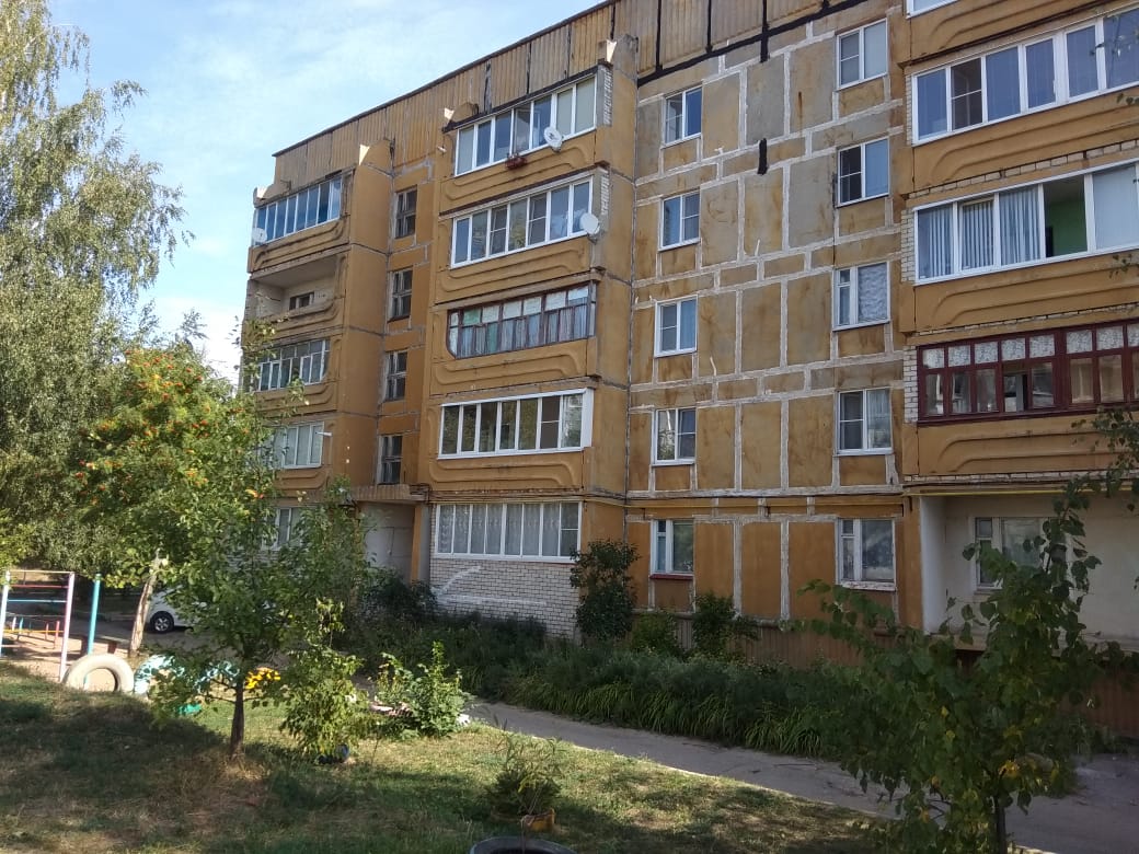 обл. Рязанская, г. Скопин, ул. Ленина, д. 193-фасад здания