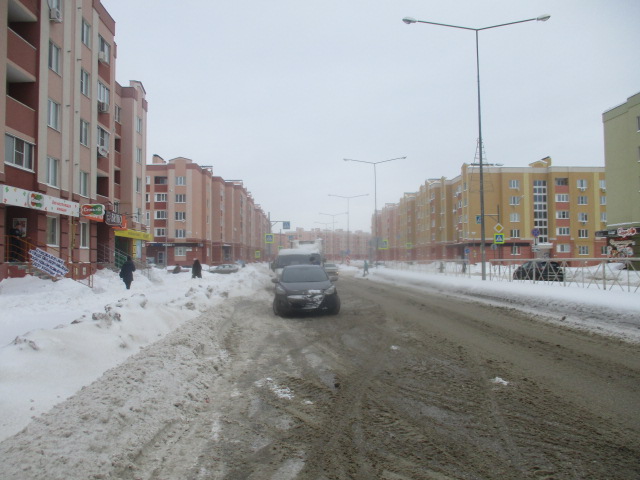 обл. Самарская, р-н. Волжский, мкр. Южный город, ул. Николаевский проспект, д. 16-придомовая территория