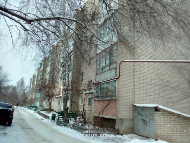 обл. Самарская, г. Жигулевск, ул. Гоголя, д. 2а-фасад здания