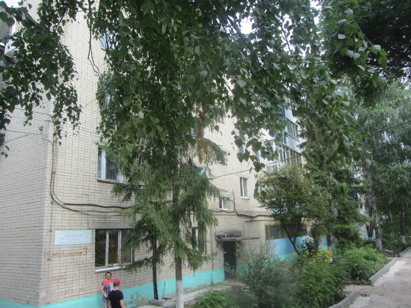 обл. Самарская, г. Жигулевск, ул. Морквашинская, д. 3-фасад здания