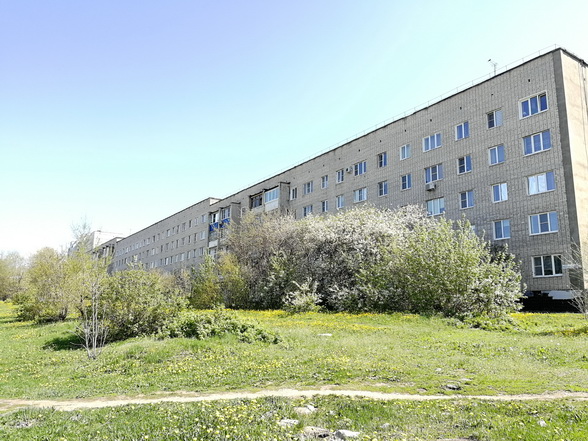 обл. Самарская, г. Жигулевск, ул. Морквашинская, д. 43-фасад здания