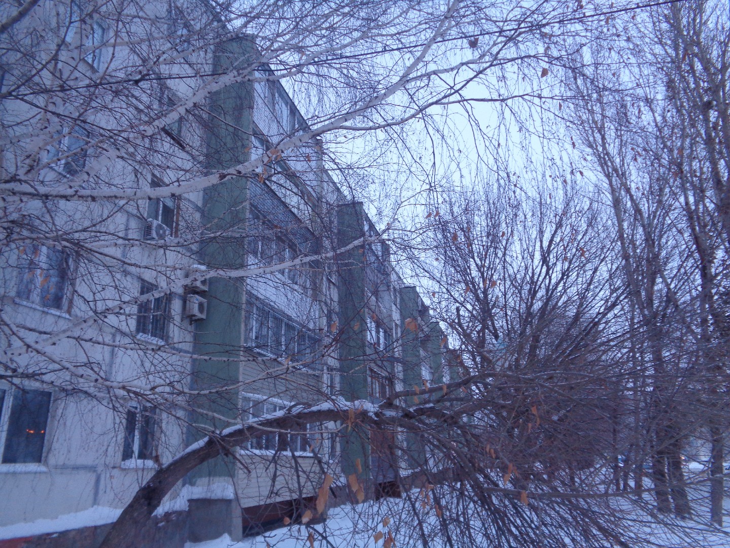 обл. Самарская, г. Отрадный, ул. Первомайская, д. 61-фасад здания