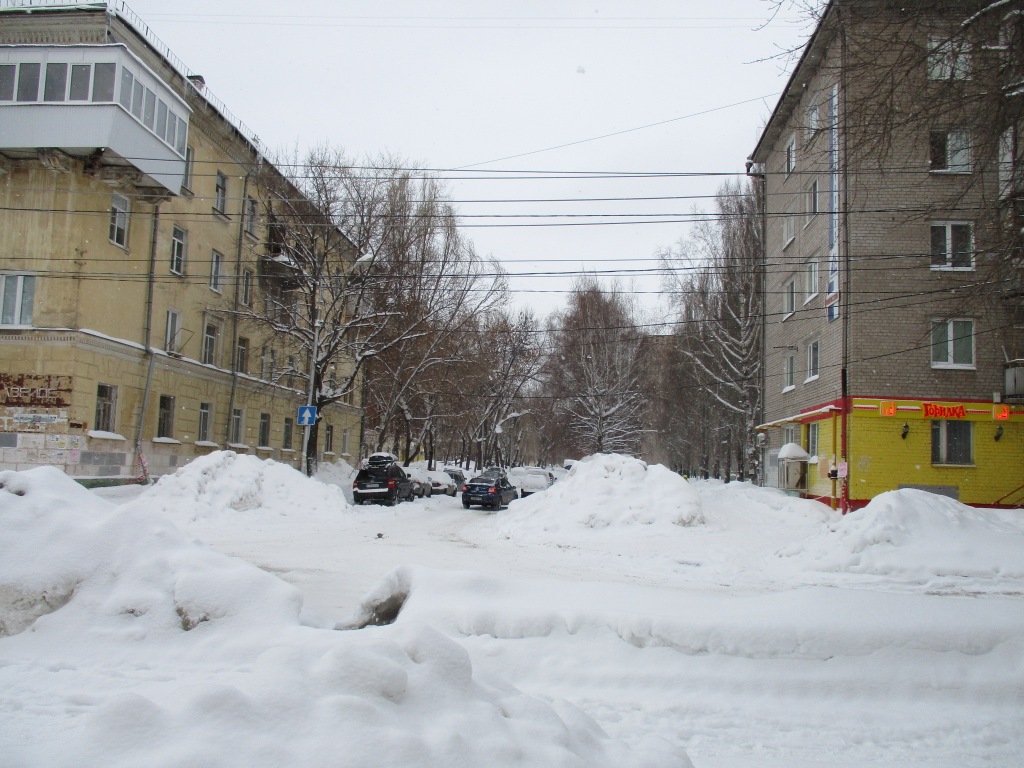 обл. Самарская, г. Самара, ул. Свободы, д. 198-придомовая территория