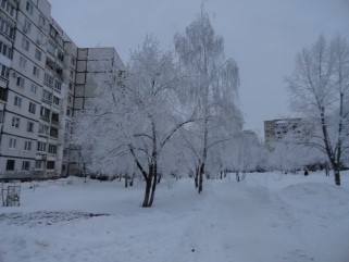 обл. Самарская, г. Самара, ул. Ташкентская, д. 232-придомовая территория