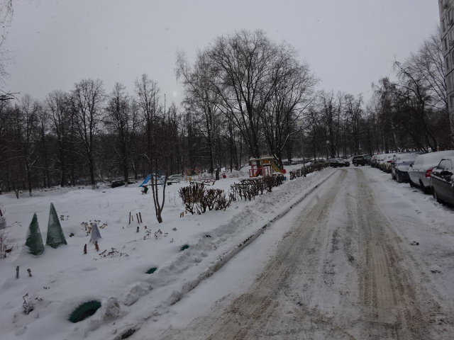 обл. Самарская, г. Тольятти, б-р. Королева, д. 10-придомовая территория