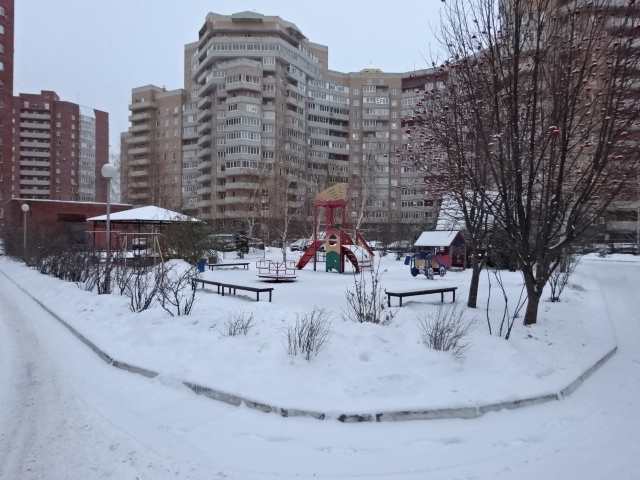 обл. Самарская, г. Тольятти, пр-кт. Степана Разина, д. 84А-придомовая территория