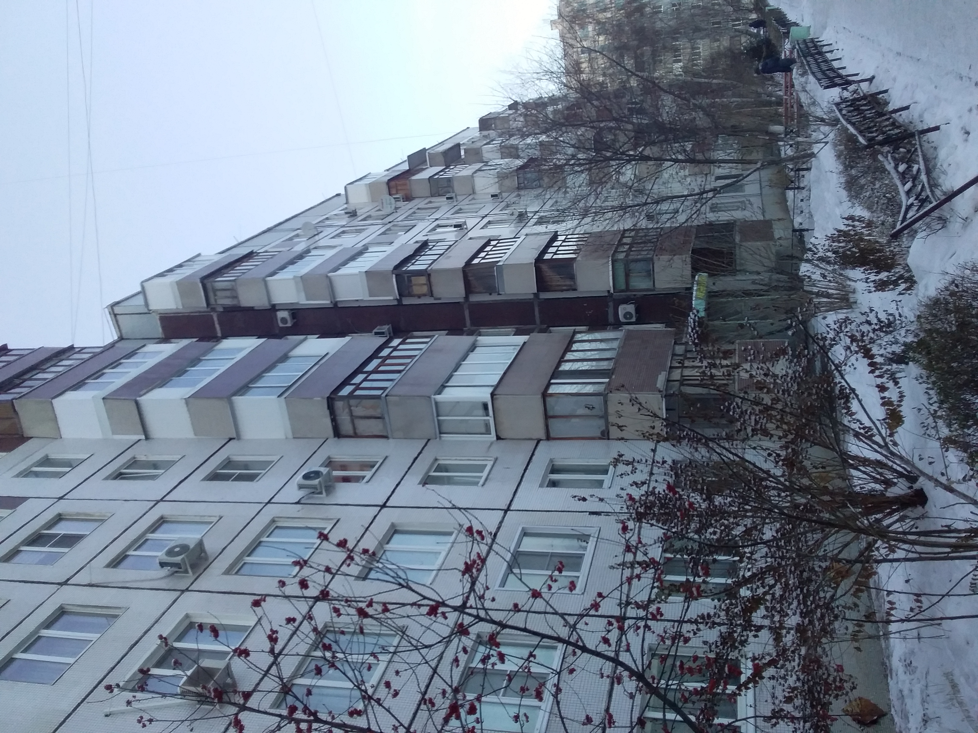 обл. Самарская, г. Тольятти, ш. Южное, д. 29-фасад здания