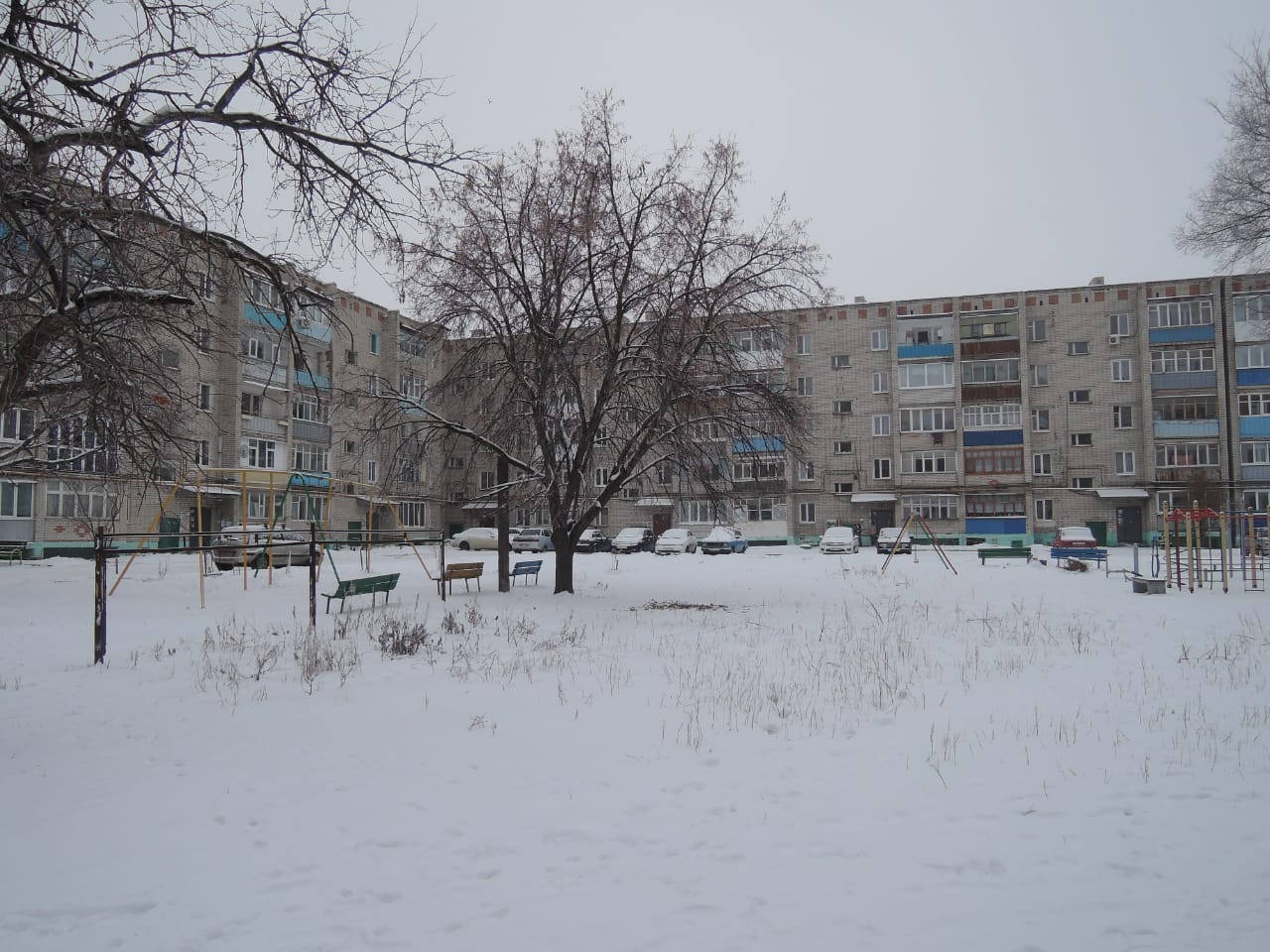 обл. Саратовская, г. Петровск, ул. Гоголя, д. 55-фасад здания