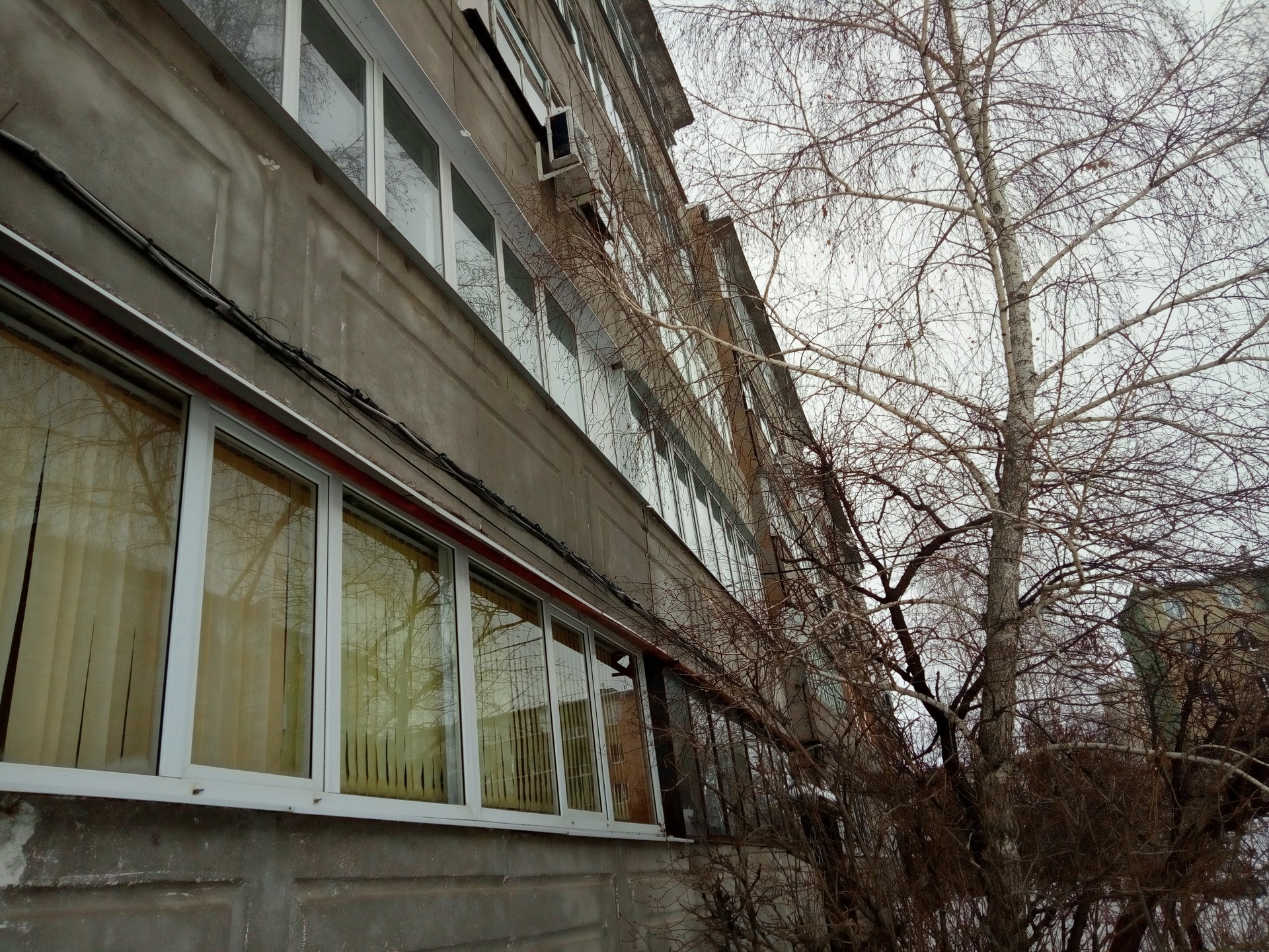обл. Саратовская, г. Саратов, п. Жасминный, ул. Майская, д. 4-фасад здания