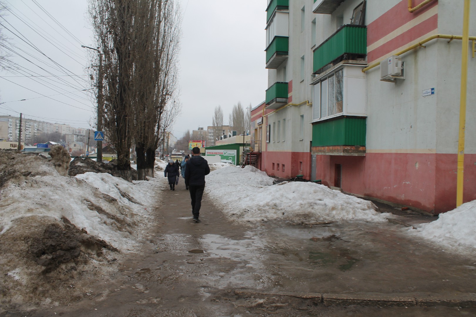 обл. Саратовская, г. Саратов, ул. Огородная, д. 140-придомовая территория