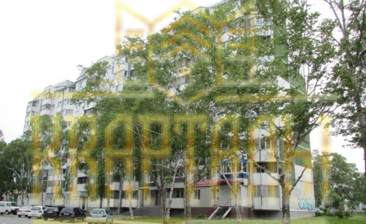 обл. Сахалинская, г. Южно-Сахалинск, ул. Чехова, д. 29А-фасад здания
