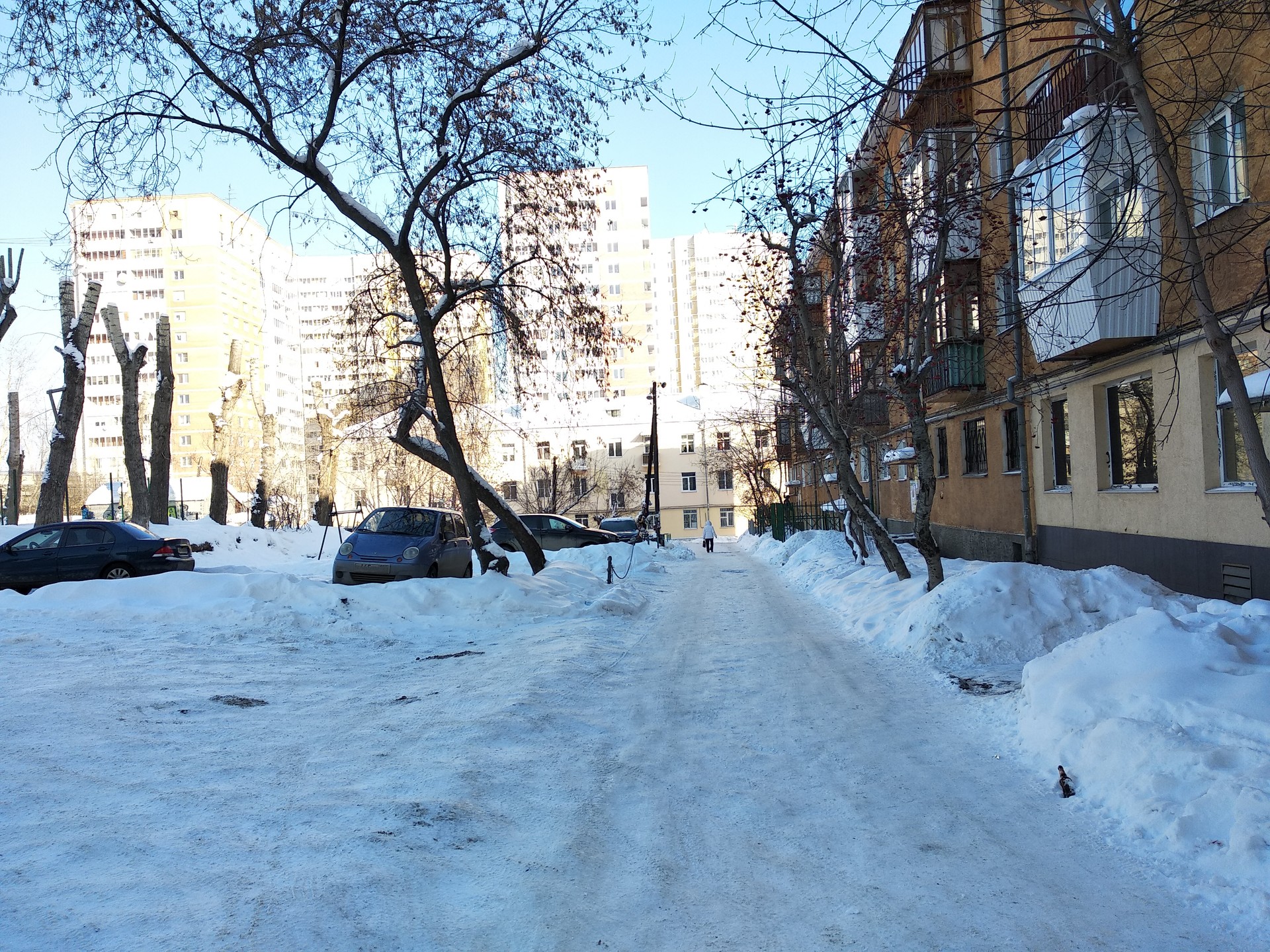 обл. Свердловская, г. Екатеринбург, ул. Кишиневская, д. 27-придомовая территория