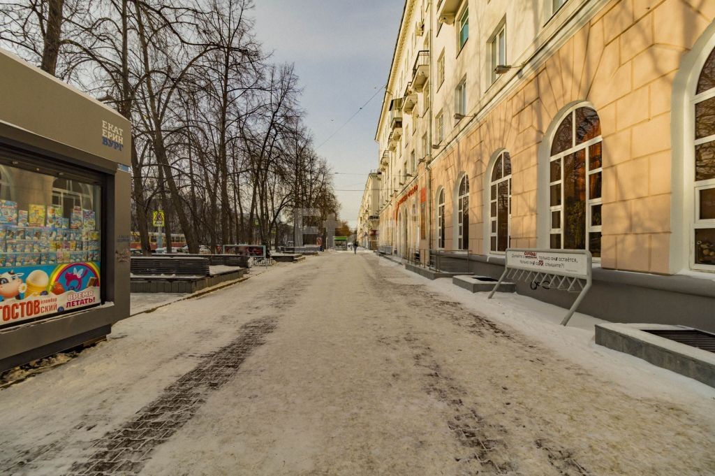 обл. Свердловская, г. Екатеринбург, пр-кт. Ленина, д. 97-придомовая территория