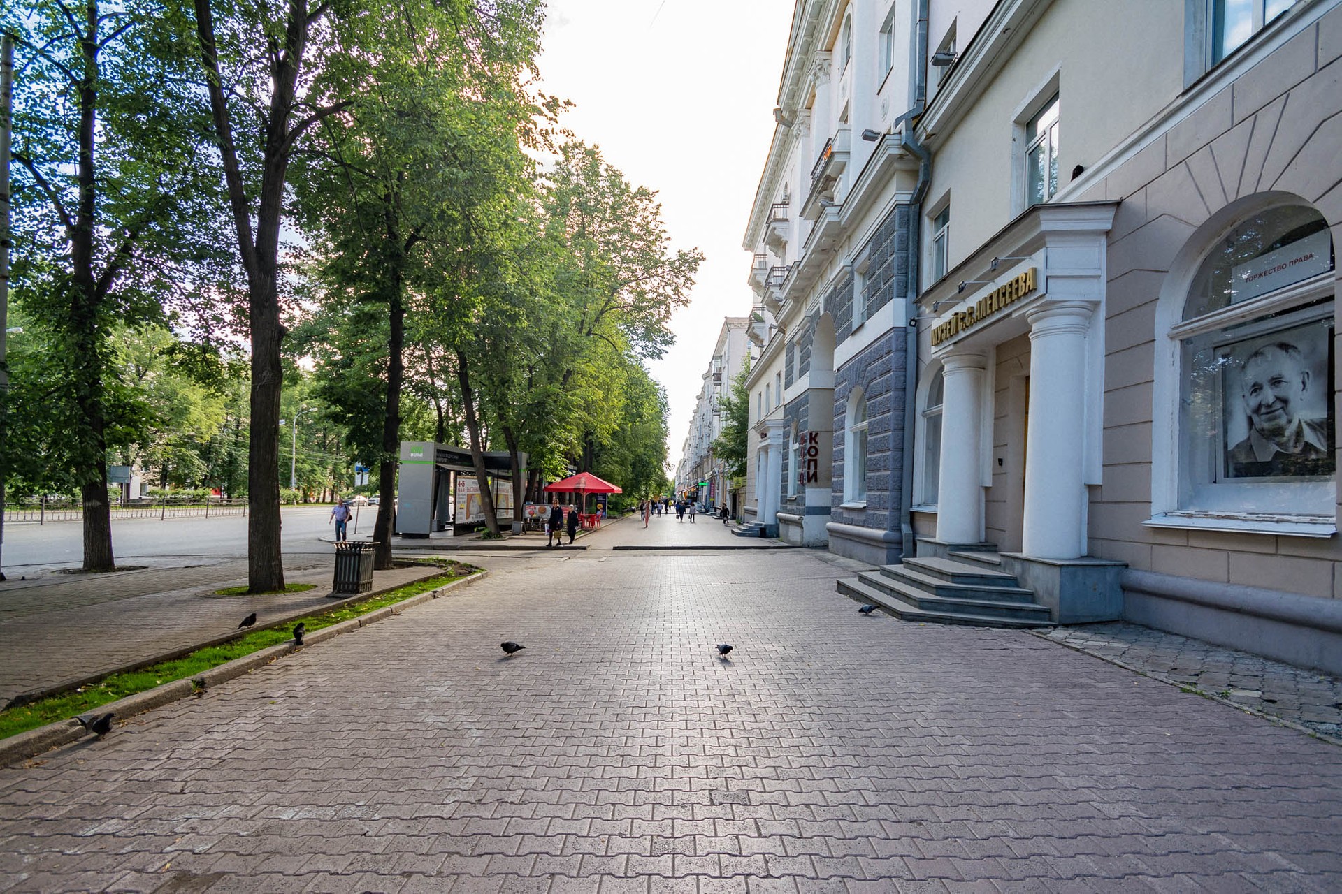 обл. Свердловская, г. Екатеринбург, пр-кт. Ленина, д. 101-придомовая территория