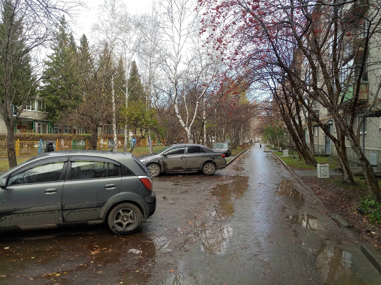 обл. Свердловская, г. Екатеринбург, ул. Серафимы Дерябиной, д. 49, к. 2-придомовая территория