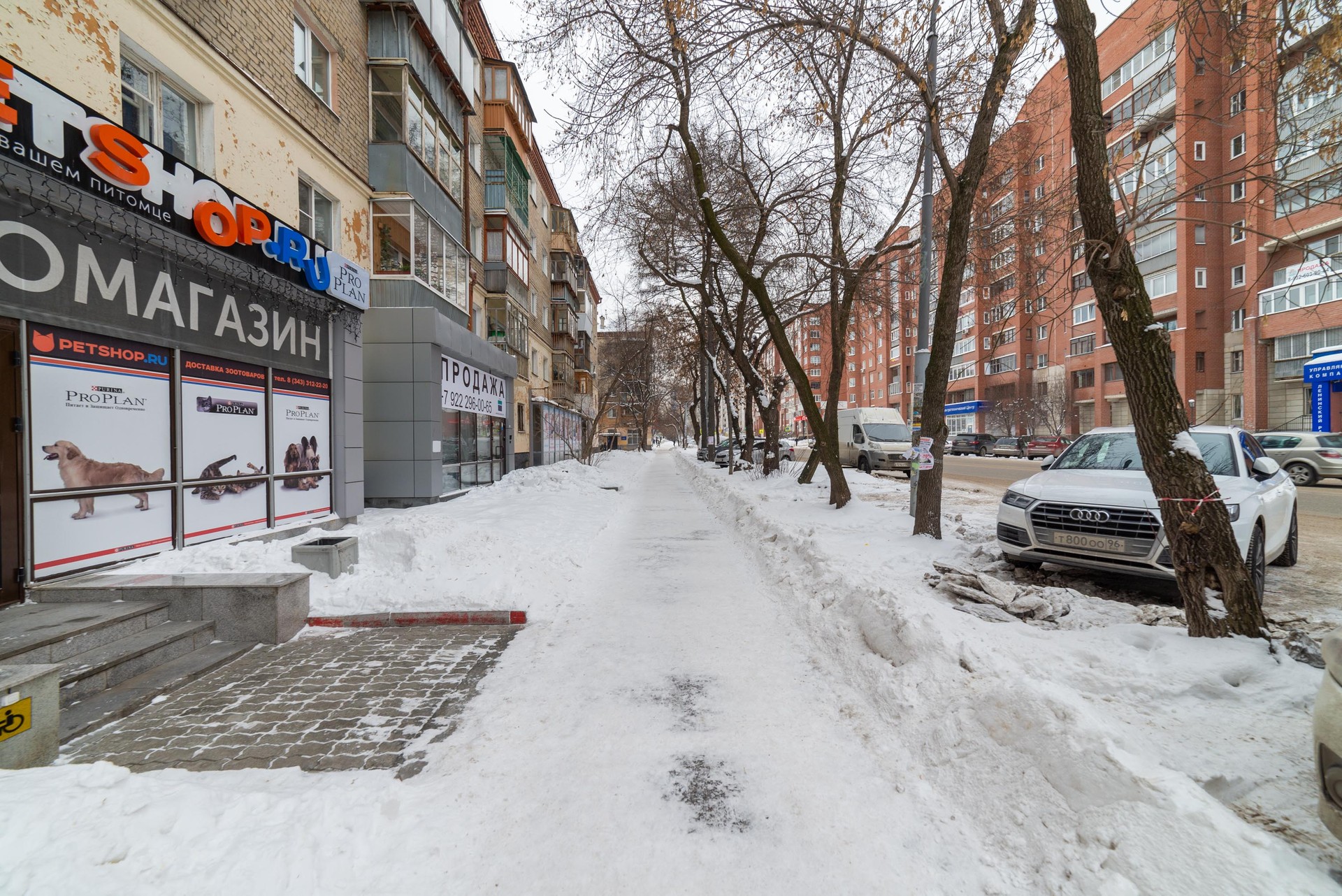 обл. Свердловская, г. Екатеринбург, ул. Сурикова, д. 39-придомовая территория