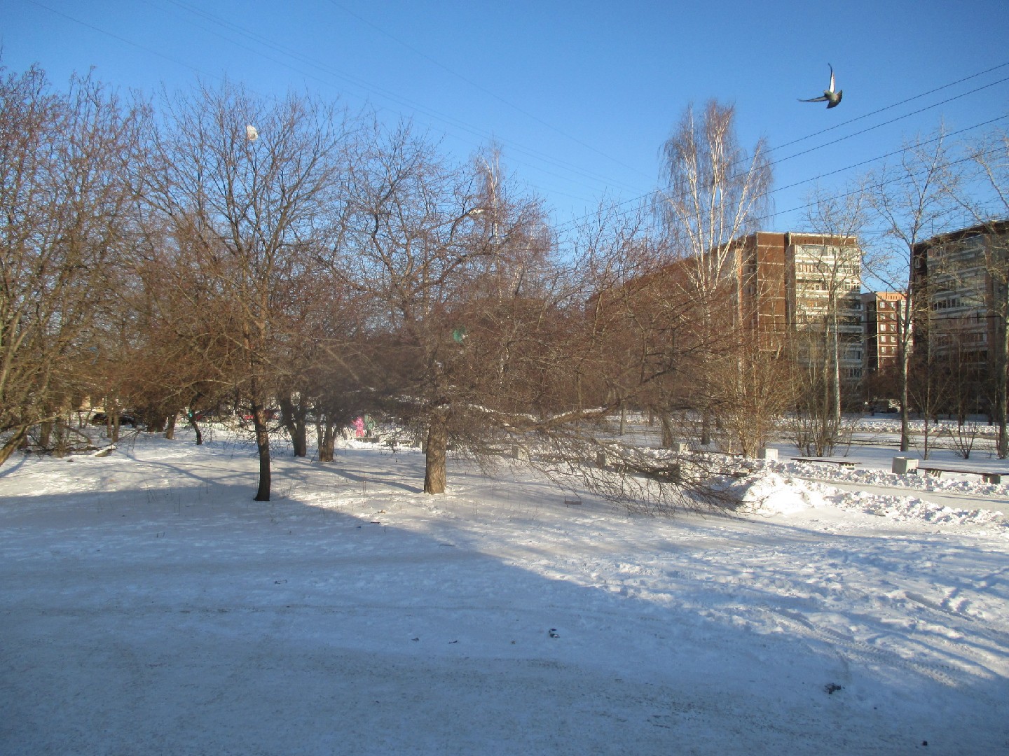 обл. Свердловская, г. Екатеринбург, ул. Сыромолотова, д. 12-придомовая территория