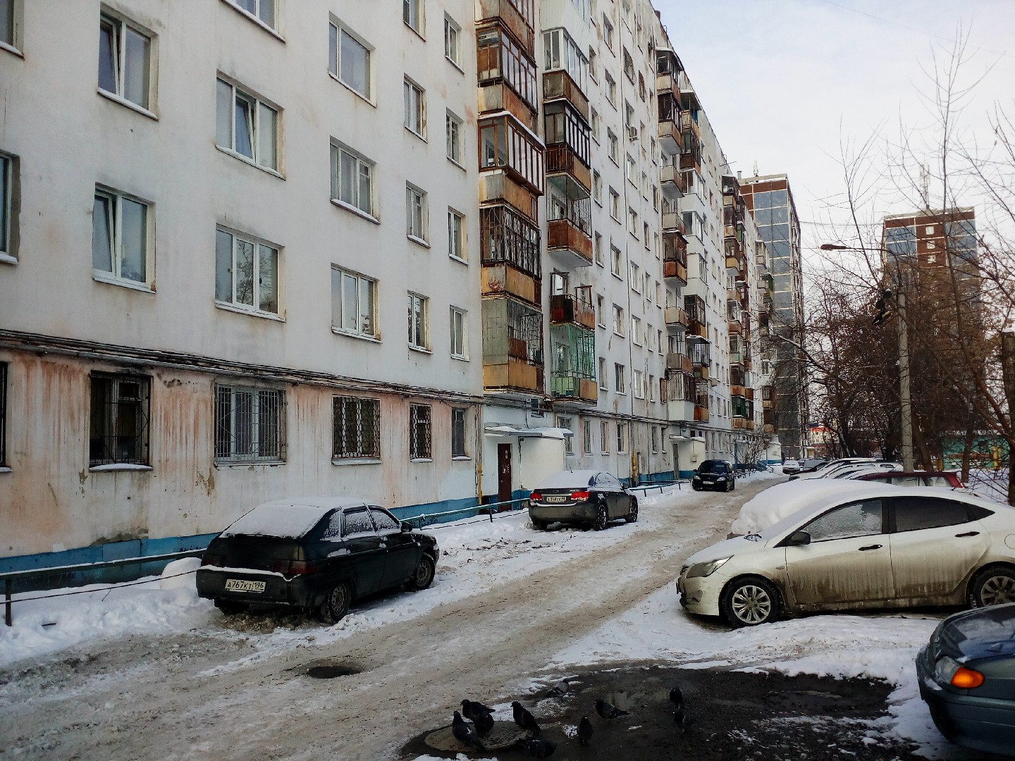 обл. Свердловская, г. Екатеринбург, ул. Таганская, д. 52/1-придомовая территория