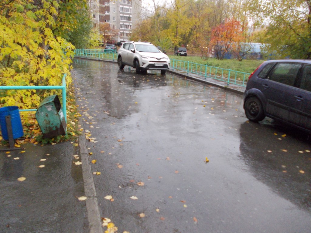 обл. Свердловская, г. Екатеринбург, ул. Черепанова, д. 30-придомовая территория