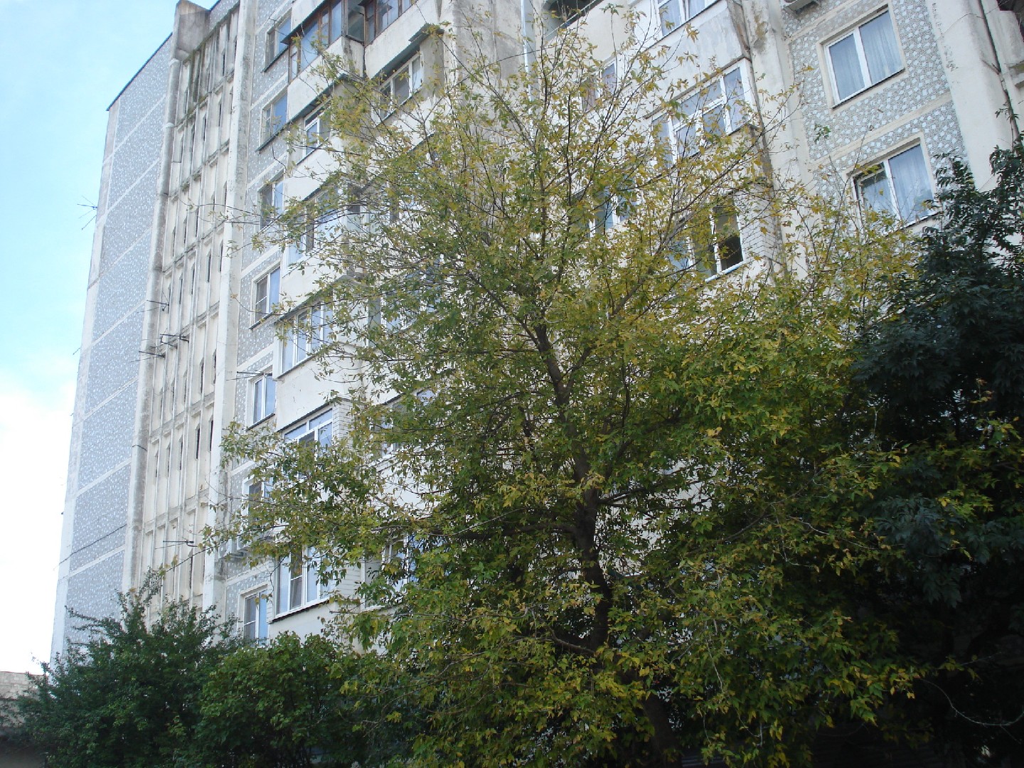 край. Ставропольский, г. Кисловодск, ул. Красивая, д. 23-фасад здания