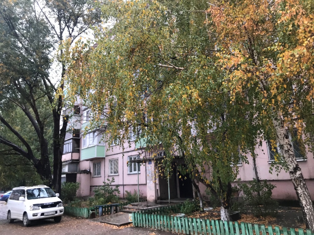 край. Алтайский, г. Рубцовск, ул. Никольская, д. 6-фасад здания