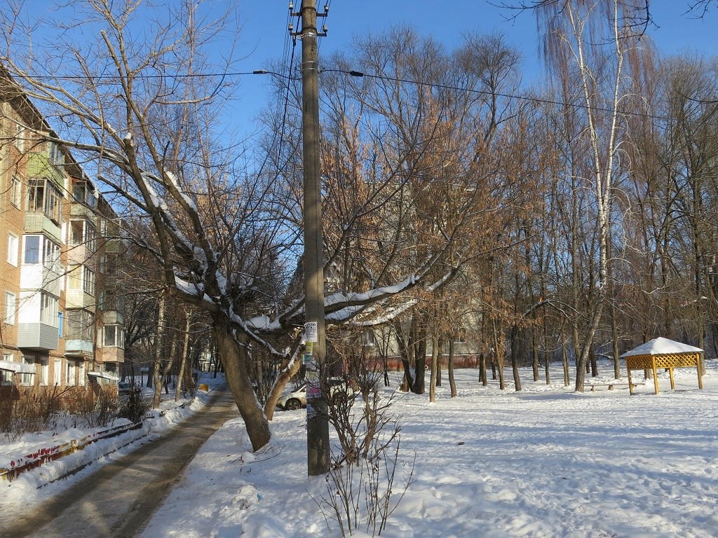 обл. Тульская, г. Тула, ул. Седова, д. 43-придомовая территория