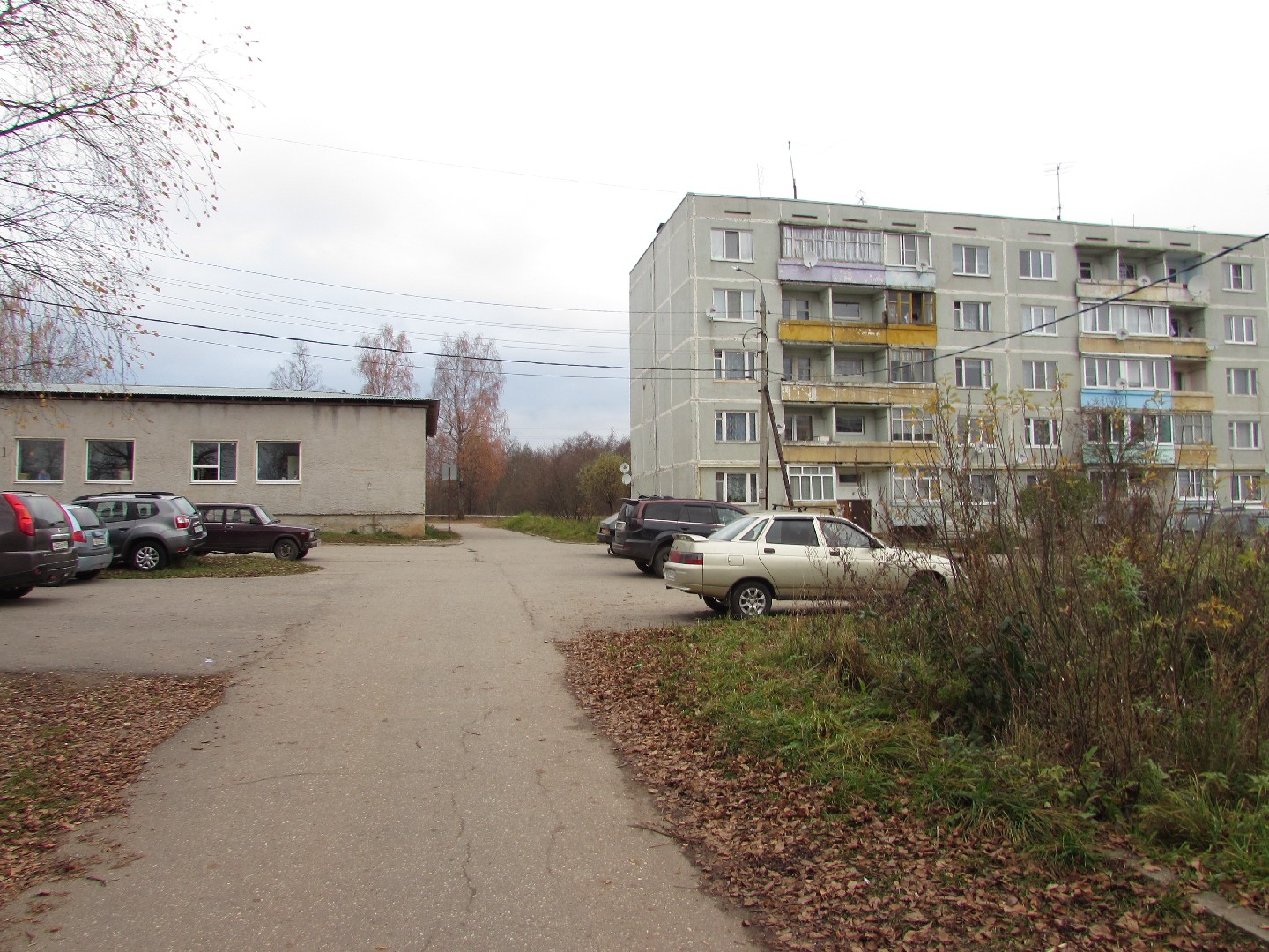 обл. Тверская, р-н. Вышневолоцкий, п. Зеленогорский, ул. Микробиологов, д. 37-придомовая территория