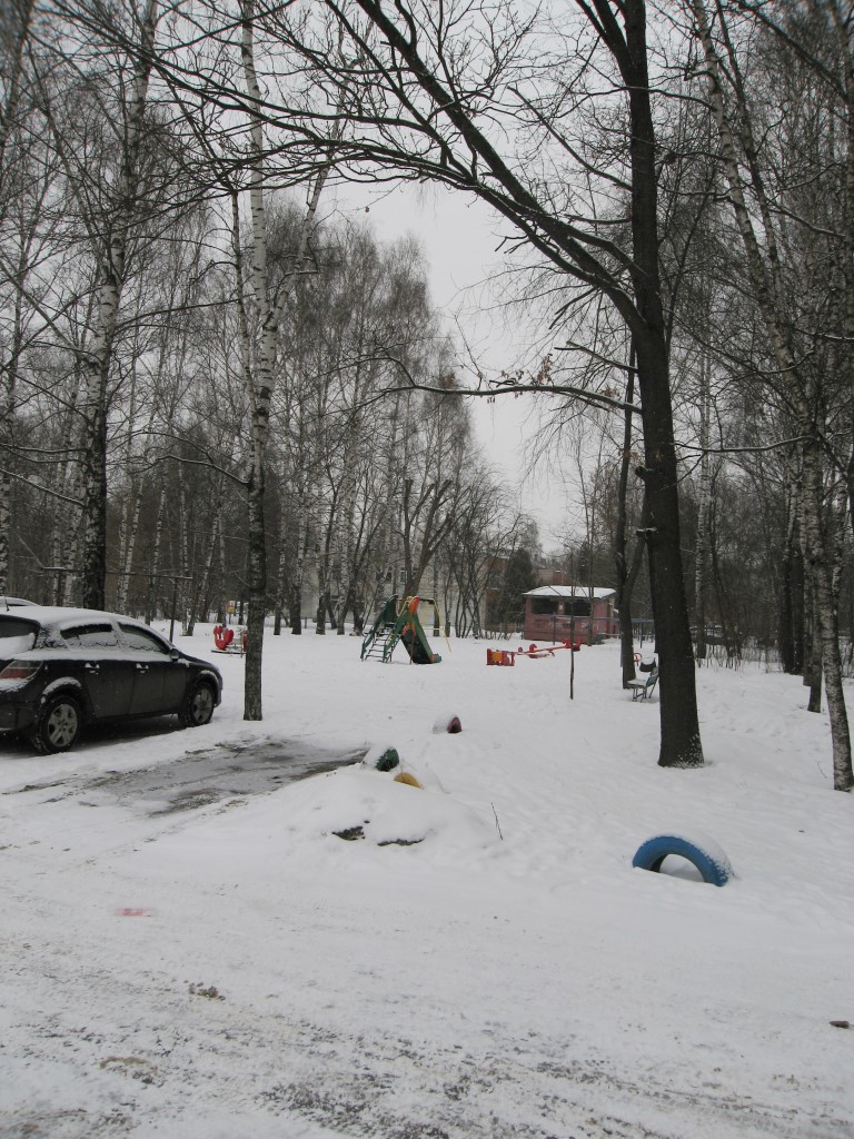 обл. Тверская, г. Тверь, ул. Терещенко, д. 17-придомовая территория