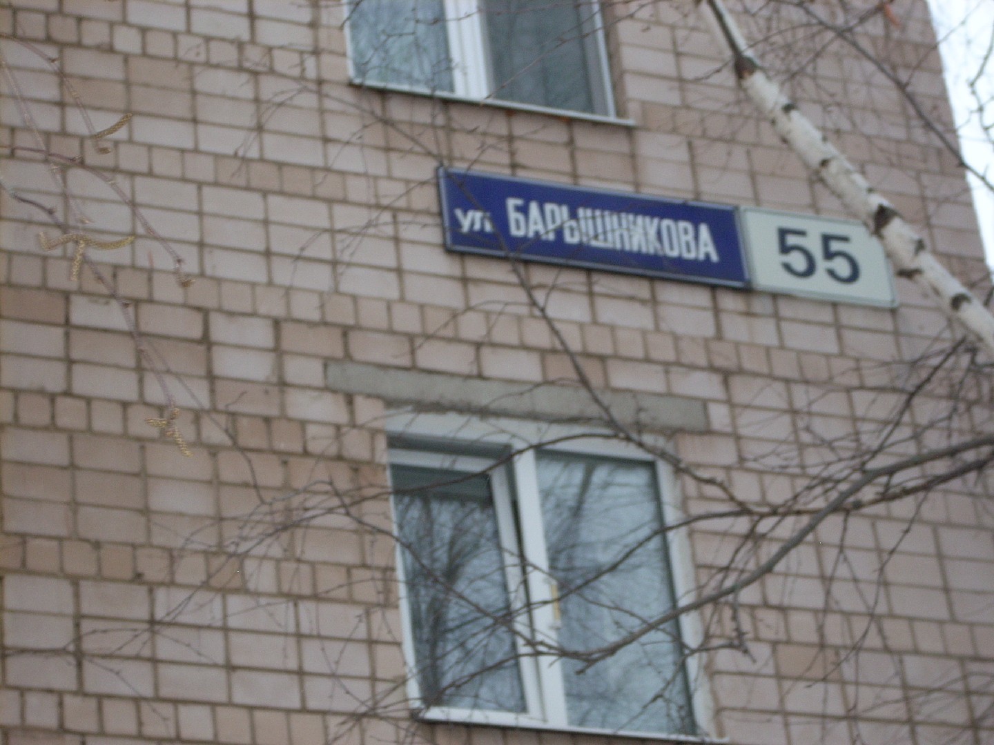 Респ. Удмуртская, г. Ижевск, ул. им Барышникова, д. 55-фасад здания