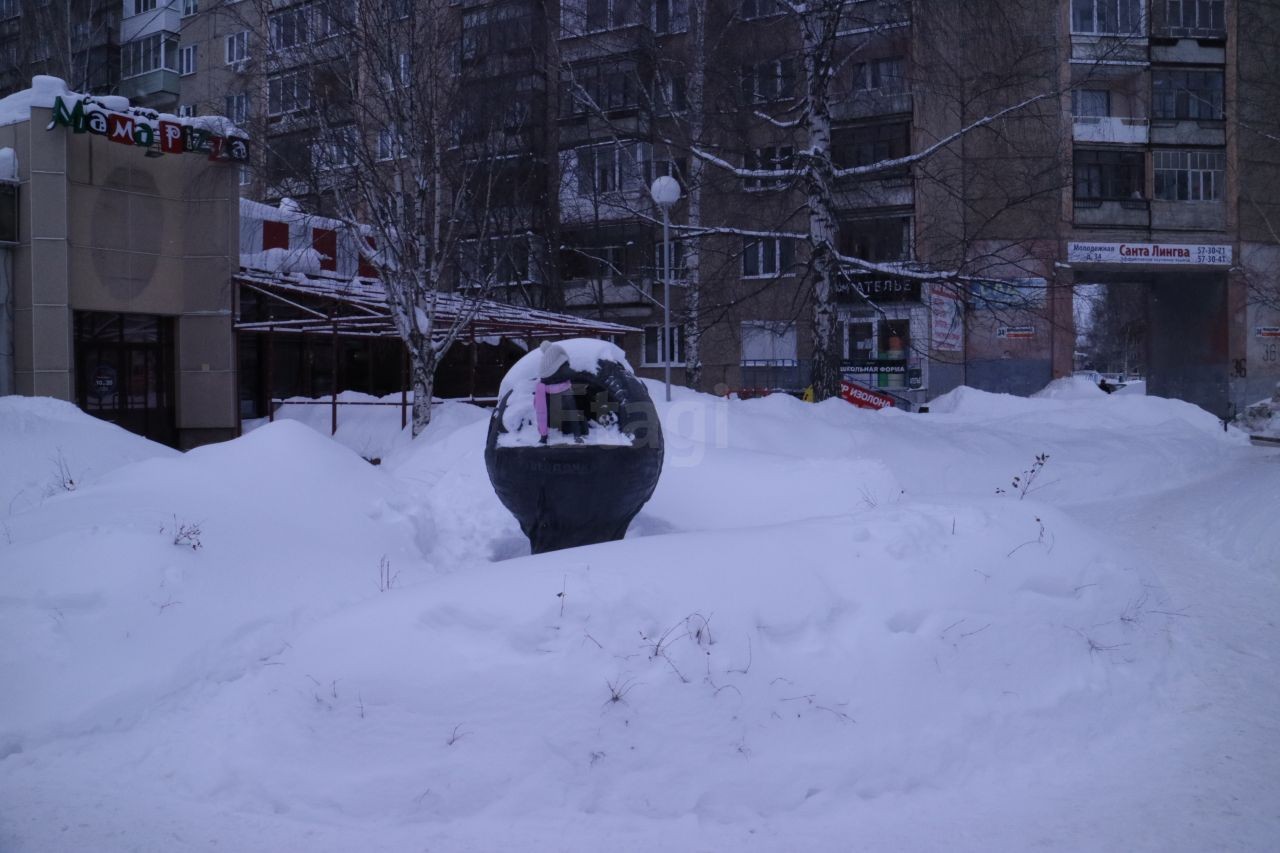 Респ. Удмуртская, г. Ижевск, ул. Молодежная, д. 34-придомовая территория