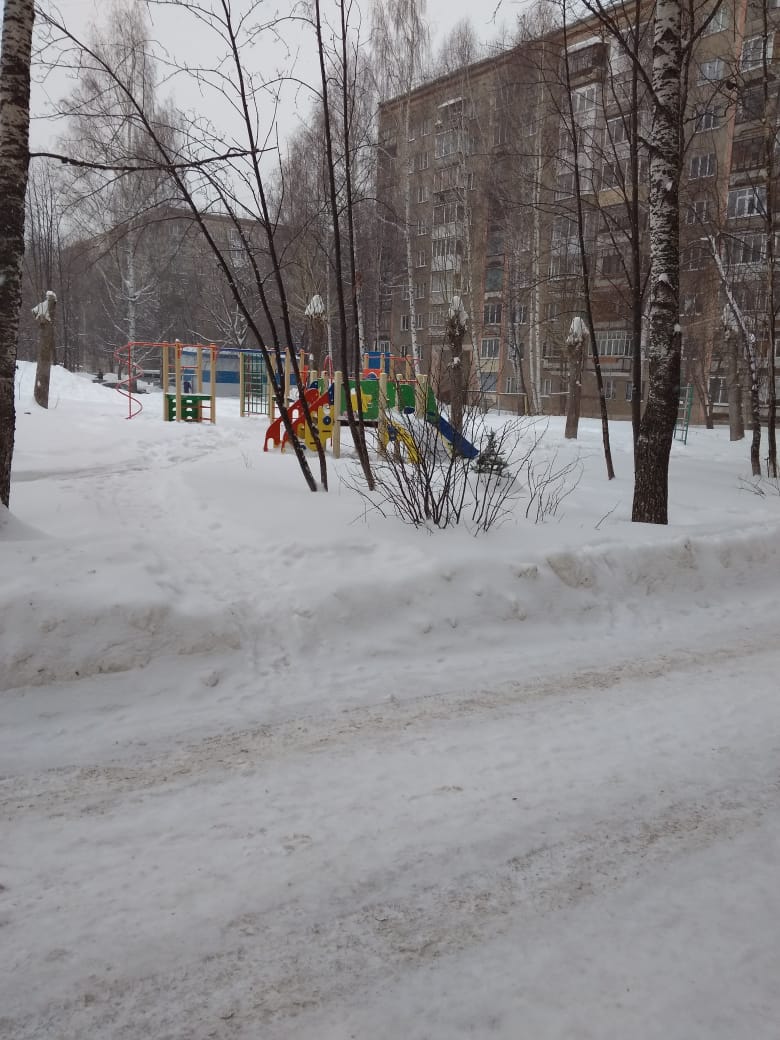 Респ. Удмуртская, г. Ижевск, ул. Молодежная, д. 37-придомовая территория