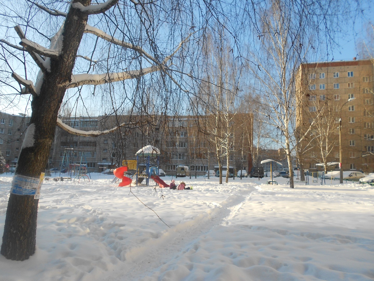 Респ. Удмуртская, г. Ижевск, ул. Молодежная, д. 70-придомовая территория