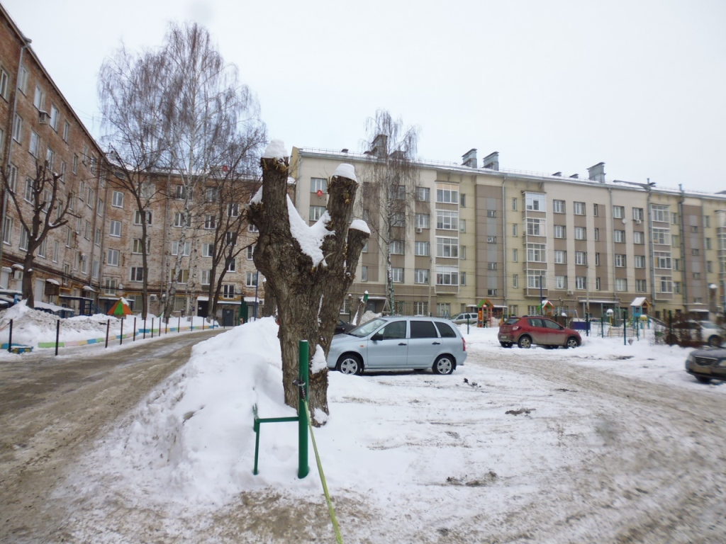 Респ. Удмуртская, г. Ижевск, ул. Пушкинская, д. 184-придомовая территория