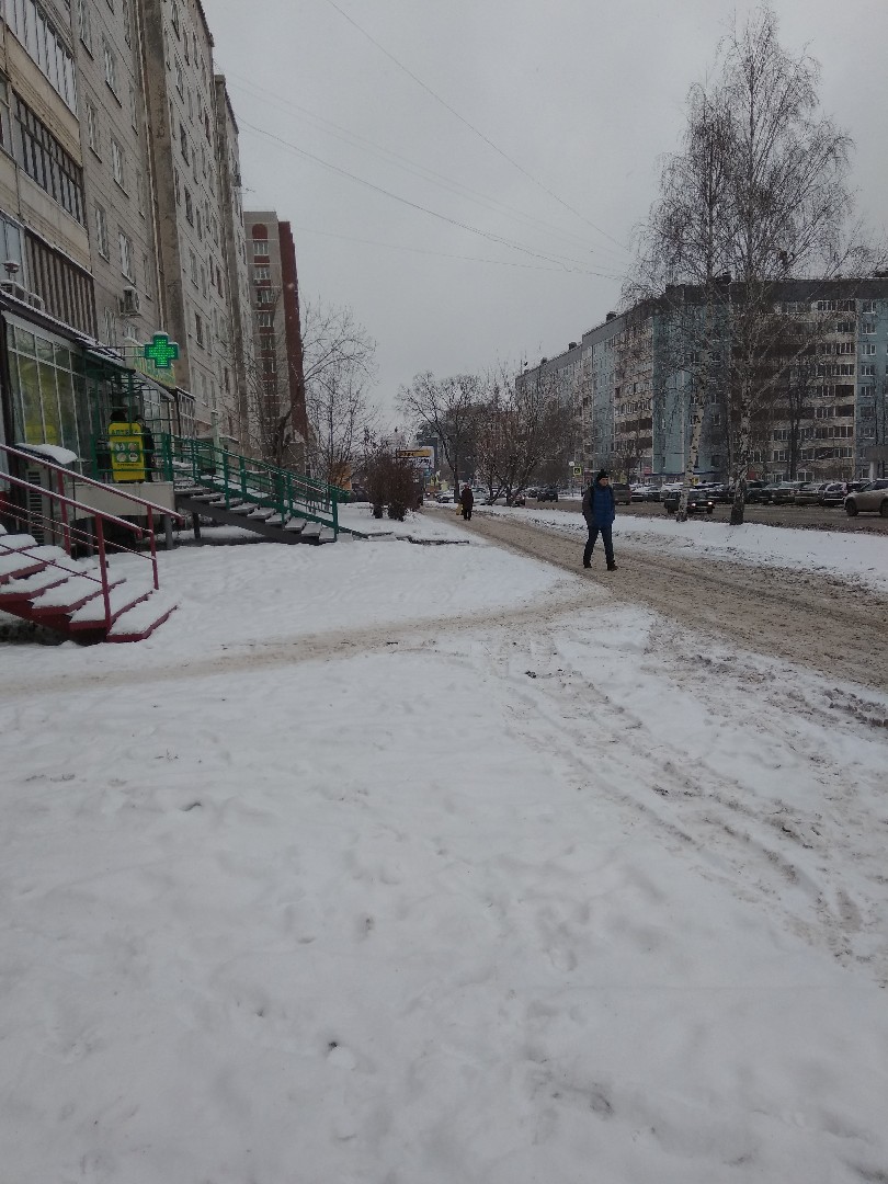 Респ. Удмуртская, г. Ижевск, ул. Холмогорова, д. 24-придомовая территория