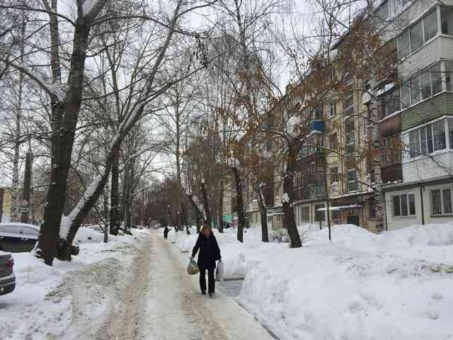 Респ. Удмуртская, г. Ижевск, ул. Холмогорова, д. 76-придомовая территория