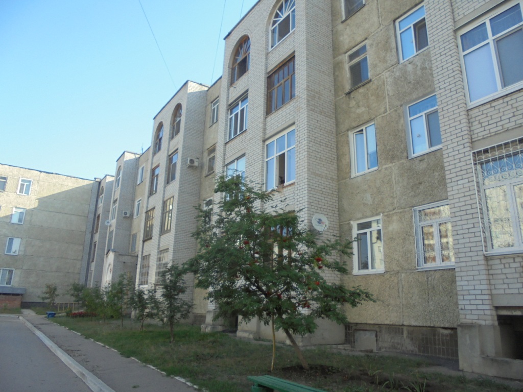 обл. Ульяновская, г. Димитровград, ул. Свирская, д. 19-фасад здания