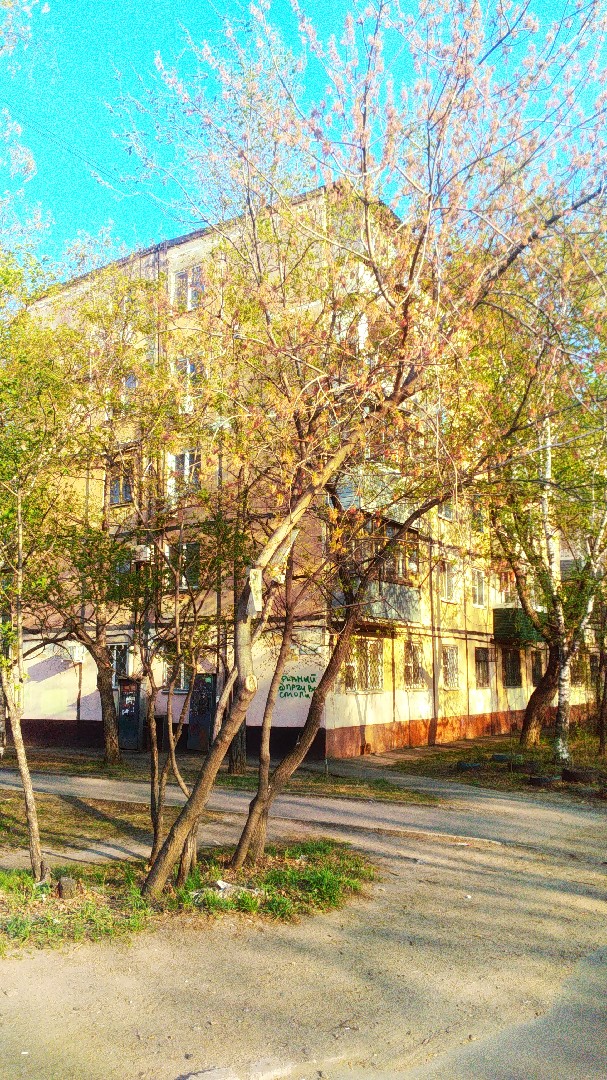 край. Хабаровский, г. Хабаровск, ул. Калараша, д. 12-фасад здания