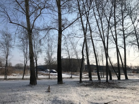 край. Хабаровский, г. Хабаровск, ул. Малиновского, д. 29-придомовая территория