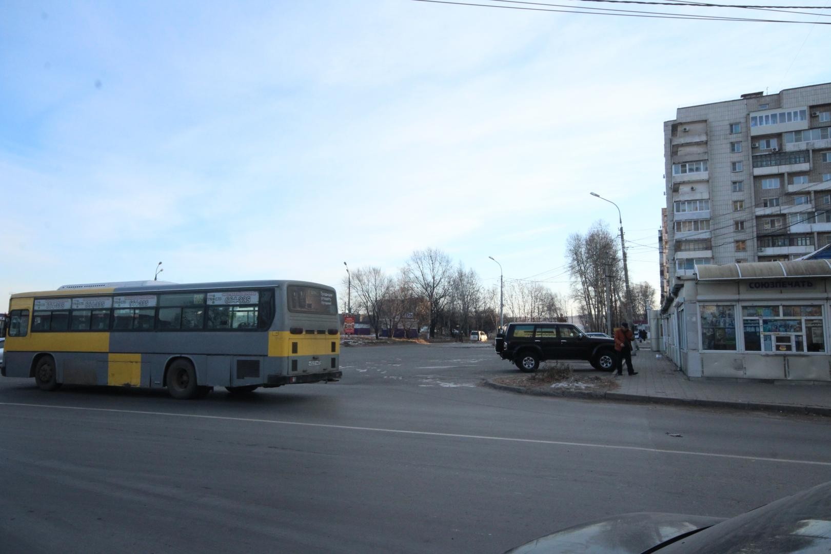 край. Хабаровский, г. Хабаровск, ул. Малиновского, д. 29-придомовая территория