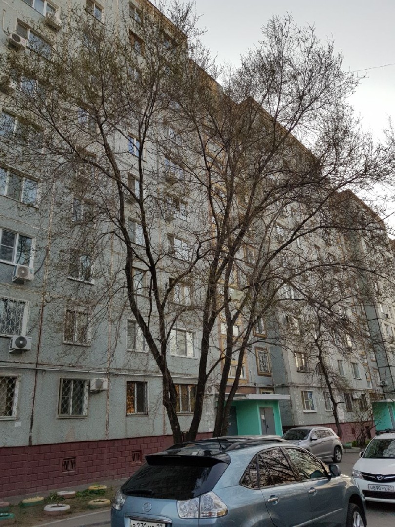 край. Хабаровский, г. Хабаровск, ул. Шимановская, д. 3-фасад здания