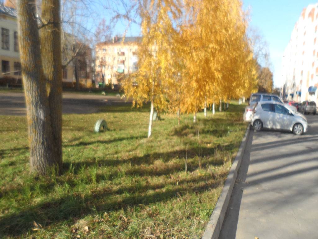 обл. Вологодская, г. Вологда, ул. Петрозаводская, д. 16 Б-придомовая территория