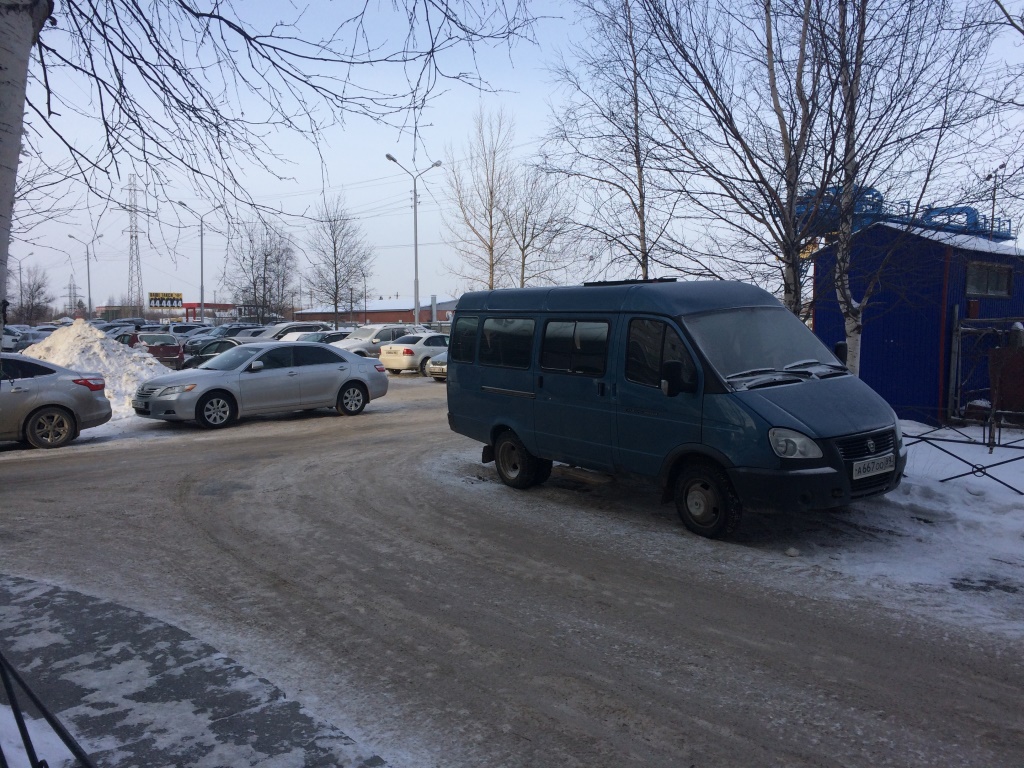 АО. Ханты-Мансийский Автономный округ - Югра, г. Нижневартовск, ул. Северная, д. 50-придомовая территория