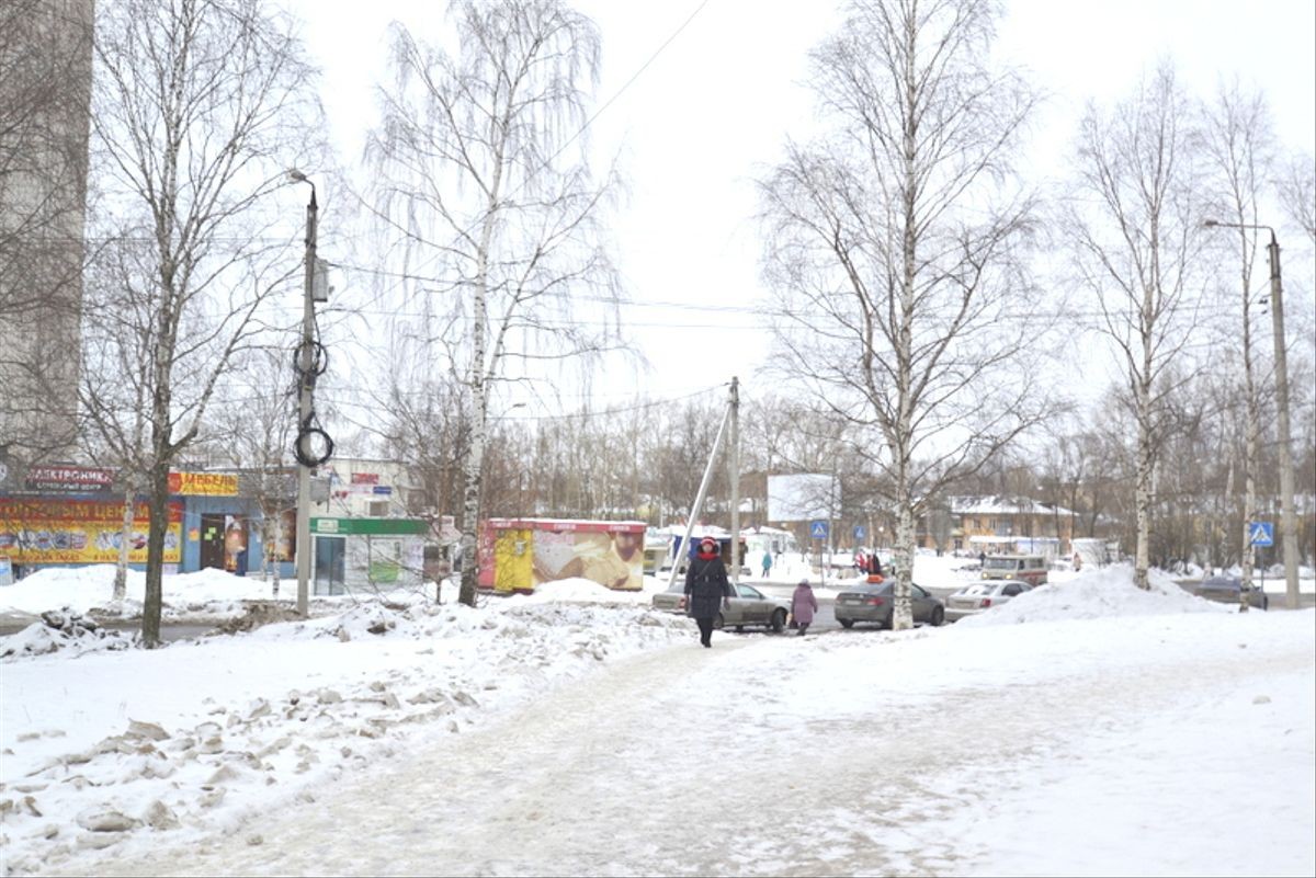 обл. Вологодская, г. Вологда, ул. Текстильщиков, д. 15-придомовая территория