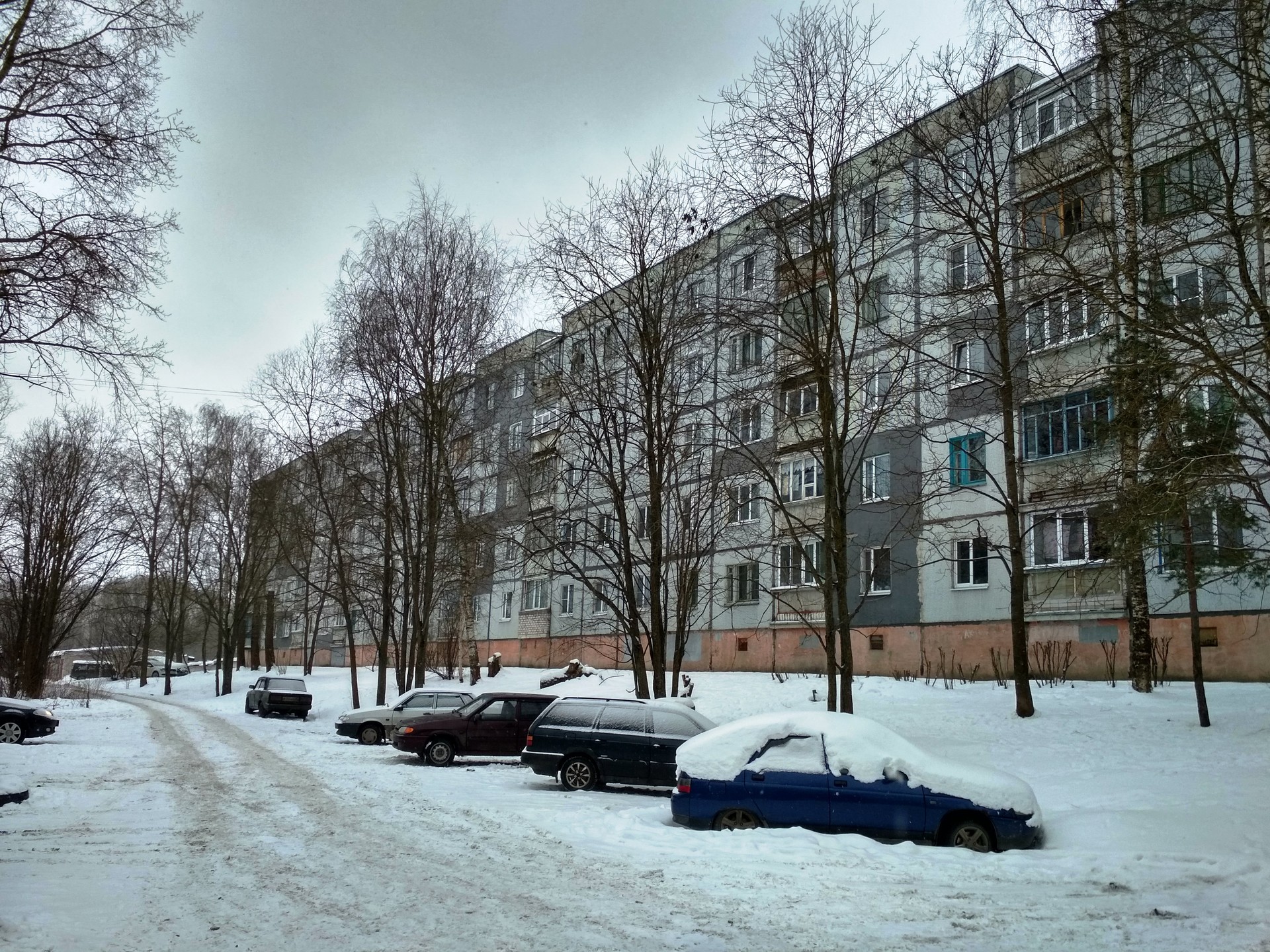 обл. Вологодская, г. Вологда, ул. Ярославская, д. 16Б-фасад здания