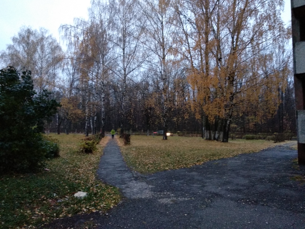 Респ. Чувашская, г. Новочебоксарск, ул. Парковая, д. 29-придомовая территория