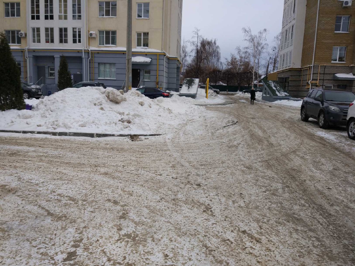 Респ. Чувашская, г. Чебоксары, ул. Водопроводная, д. 9/77-придомовая территория